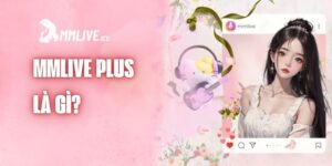 mmlive-plus